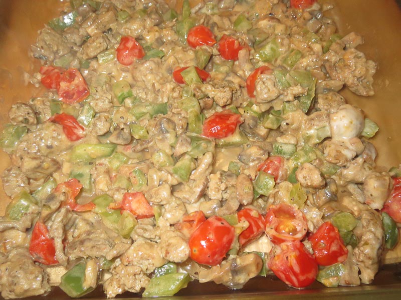 Meat with Alfredo Sauce