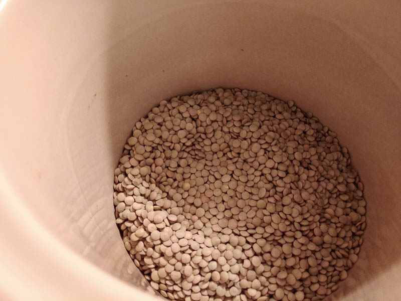 Lentils