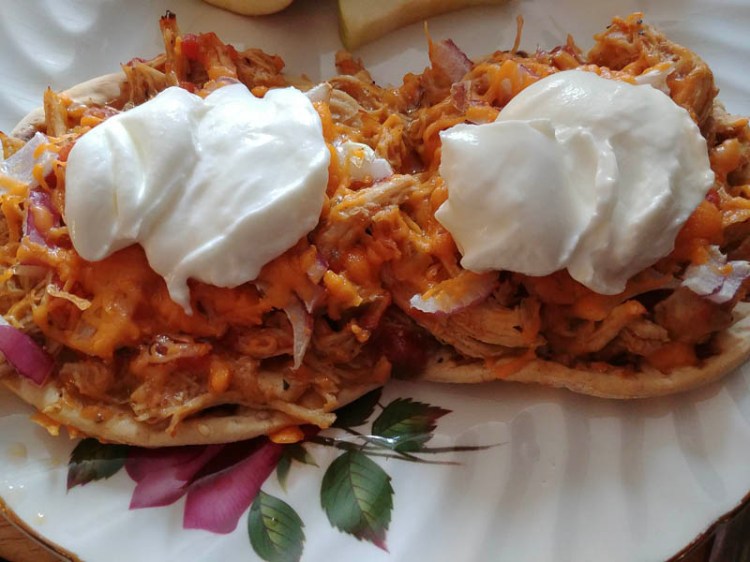 Salsa Pulled Chicken and Yogurt