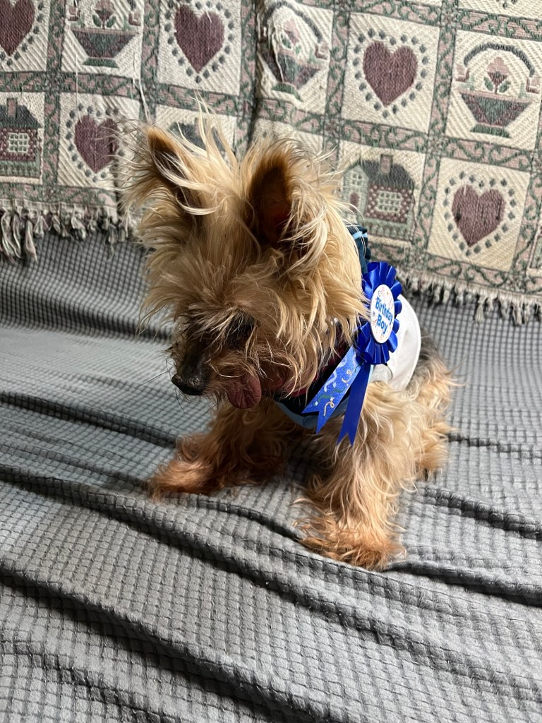 Truffles on his 18th birthday.